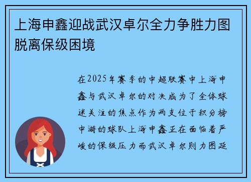 上海申鑫迎战武汉卓尔全力争胜力图脱离保级困境